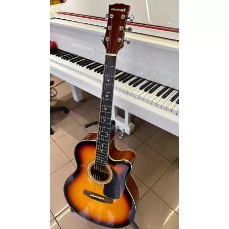 Masterwork MWA 4000 CE Elektro Akustik Gitar