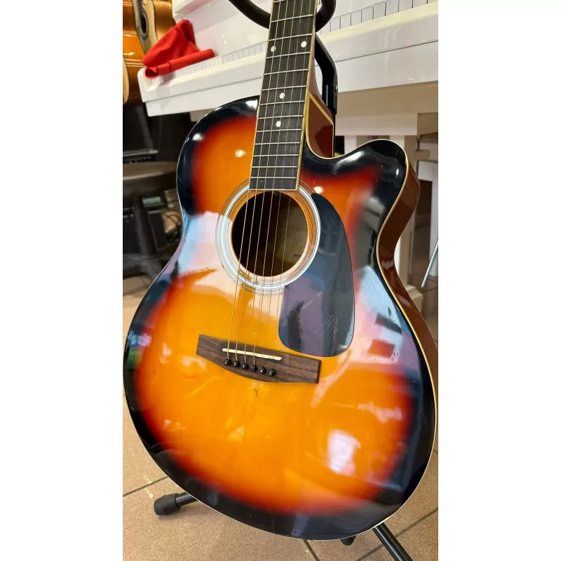Masterwork MWA 4000 CE Elektro Akustik Gitar